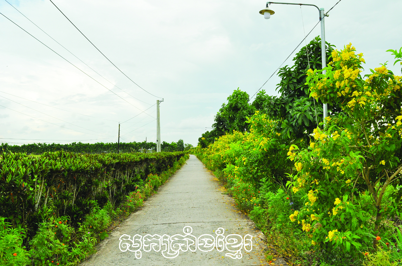 តំបន់ជនបទស្រស់បំព្រងអាស្រ័យដងផ្លូវផ្កាគំរូ