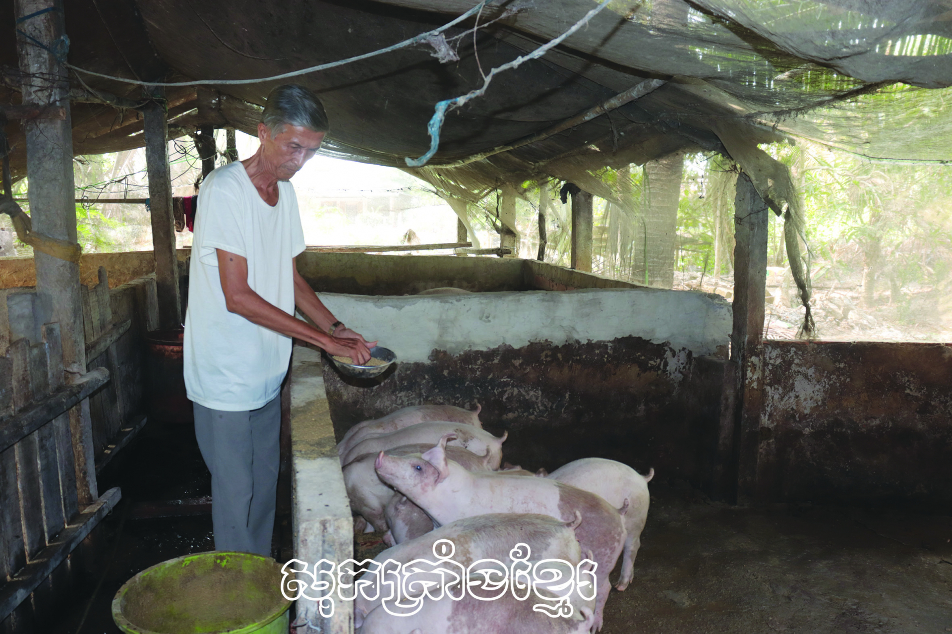 ទម្រង់ផលិតនាំមកនូវប្រសិទ្ធភាពសេដ្ឋកិច្ច