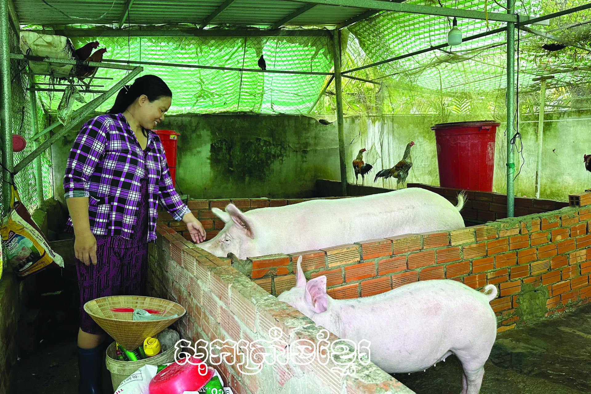 បង្កទំនុកចិត្តឱ្យនារីក្នុងការអភិវឌ្ឍសេដ្ឋកិច្ច