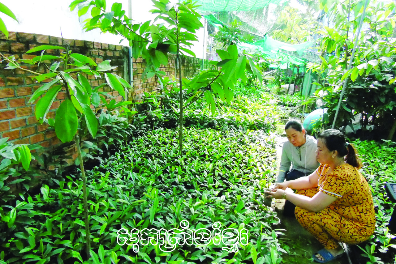 ប្រាក់ចំណូលលំនឹងពីដើមទន្លាប់