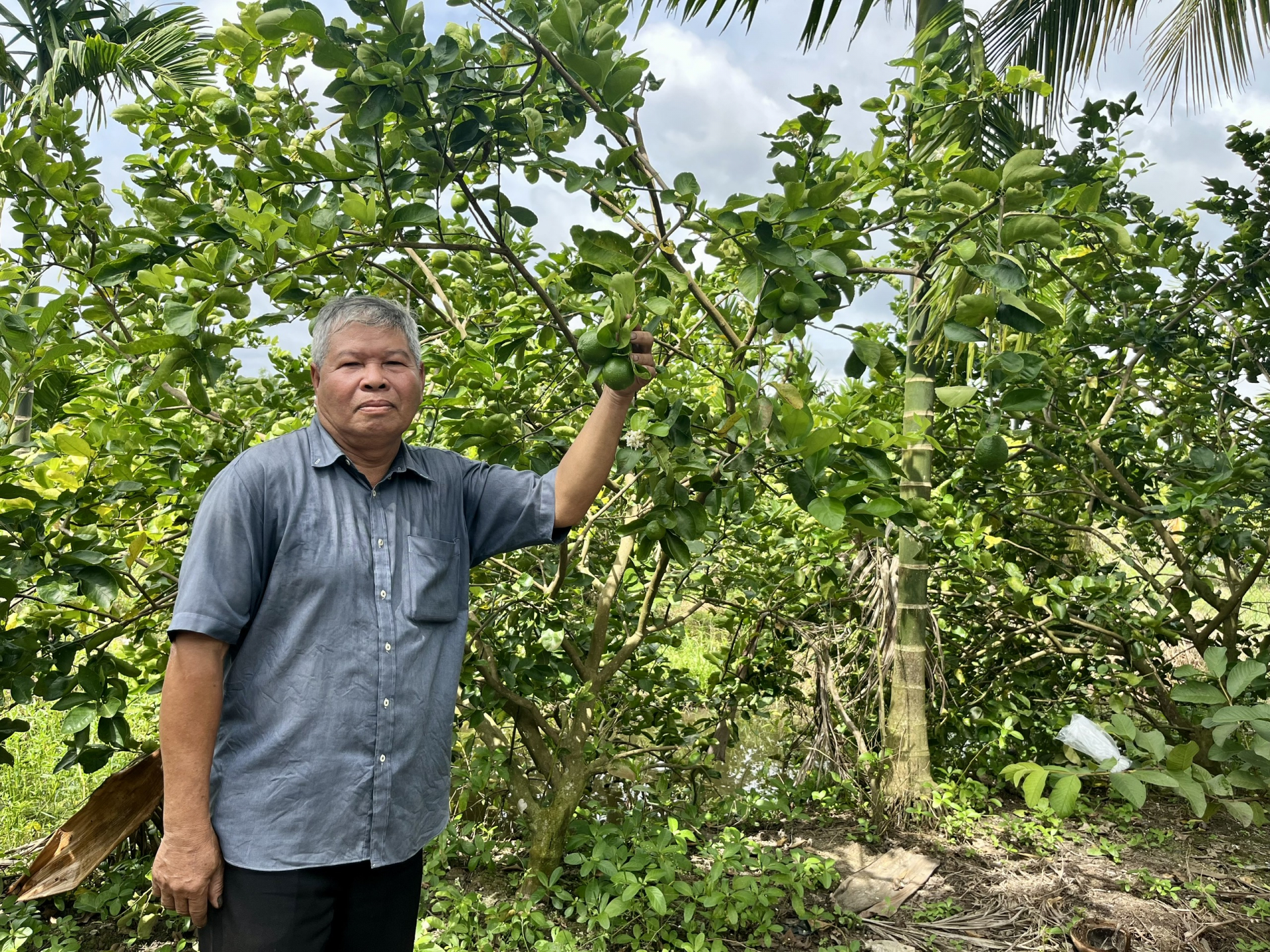 សមាគមកសិករឃុំកេថាញ់ជាមួយទម្រង់ផលិតប្រកបដោយប្រសិទ្ធភាព