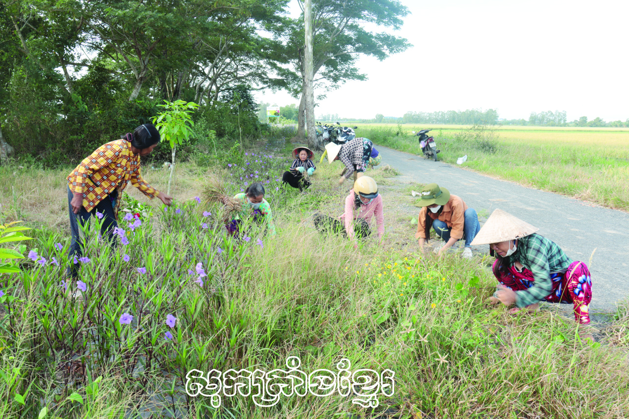 នារីភូតឹងព្រួតដៃការពារបរិស្ថាន