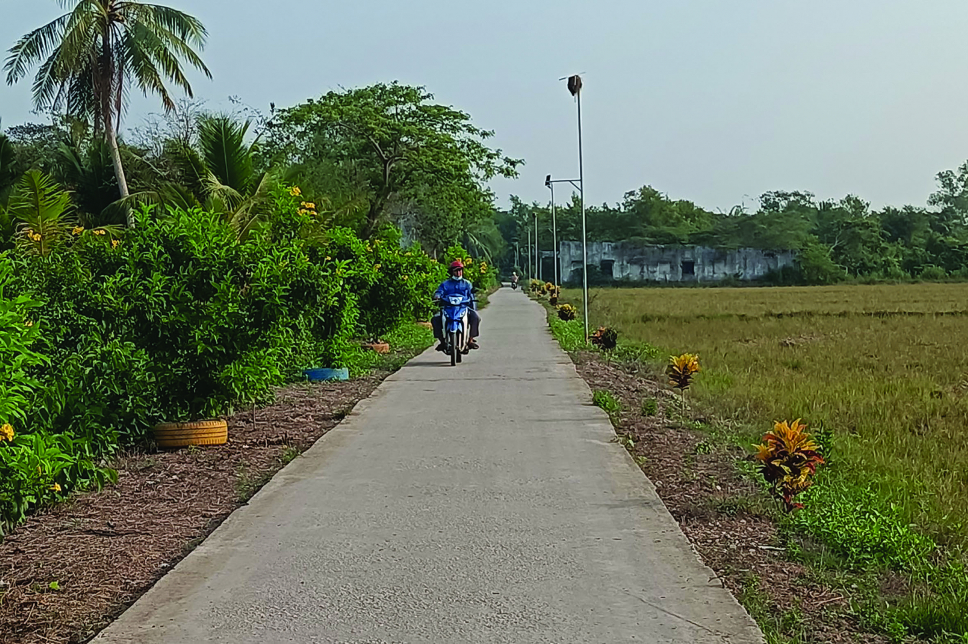 ការពារបរិស្ថានផ្សារភ្ជាប់ជាមួយការកសាងជបទថ្មី