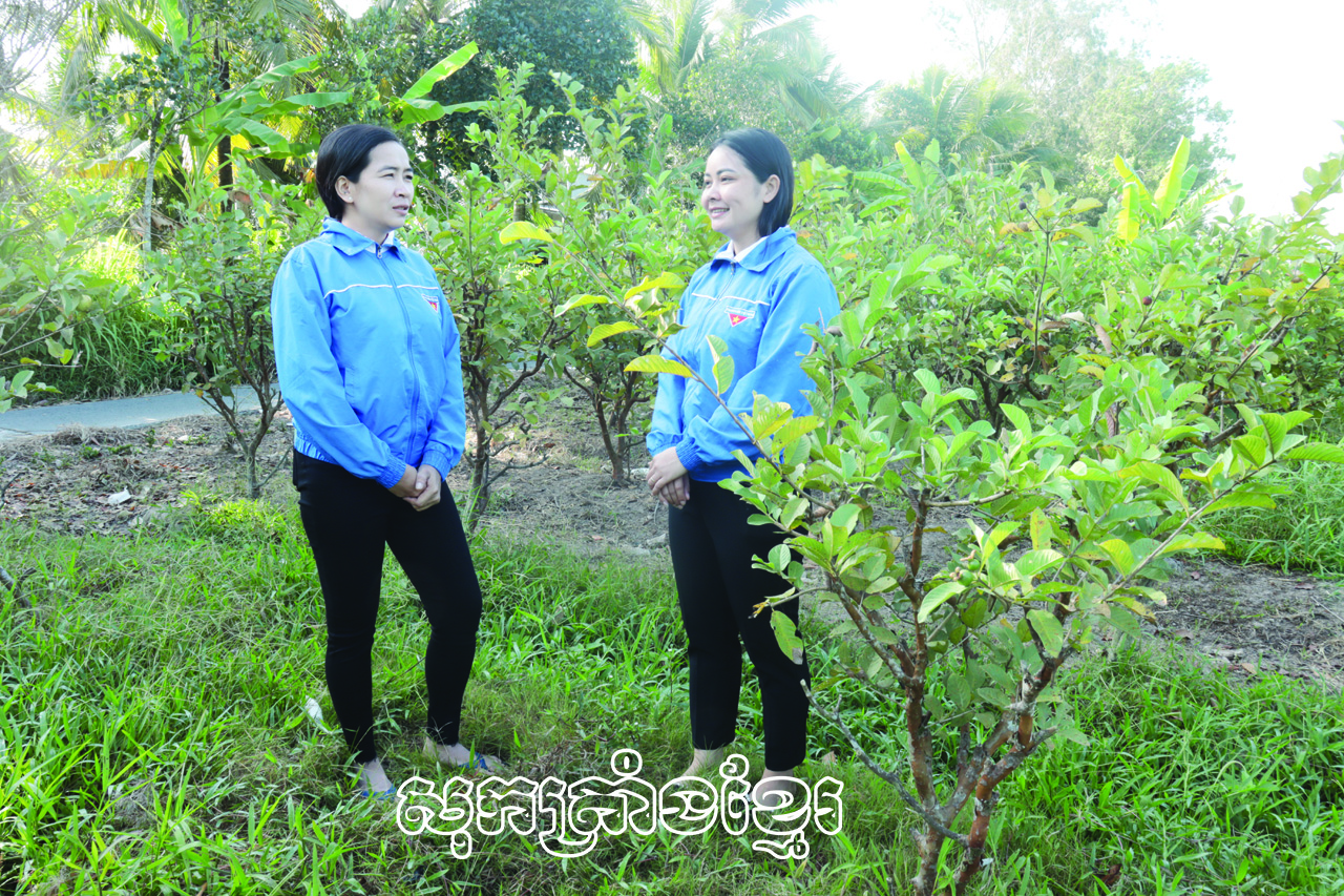 ជំនួយទុនជួយយុវជនអភិវឌ្ឍសេដ្ឋកិច្ច