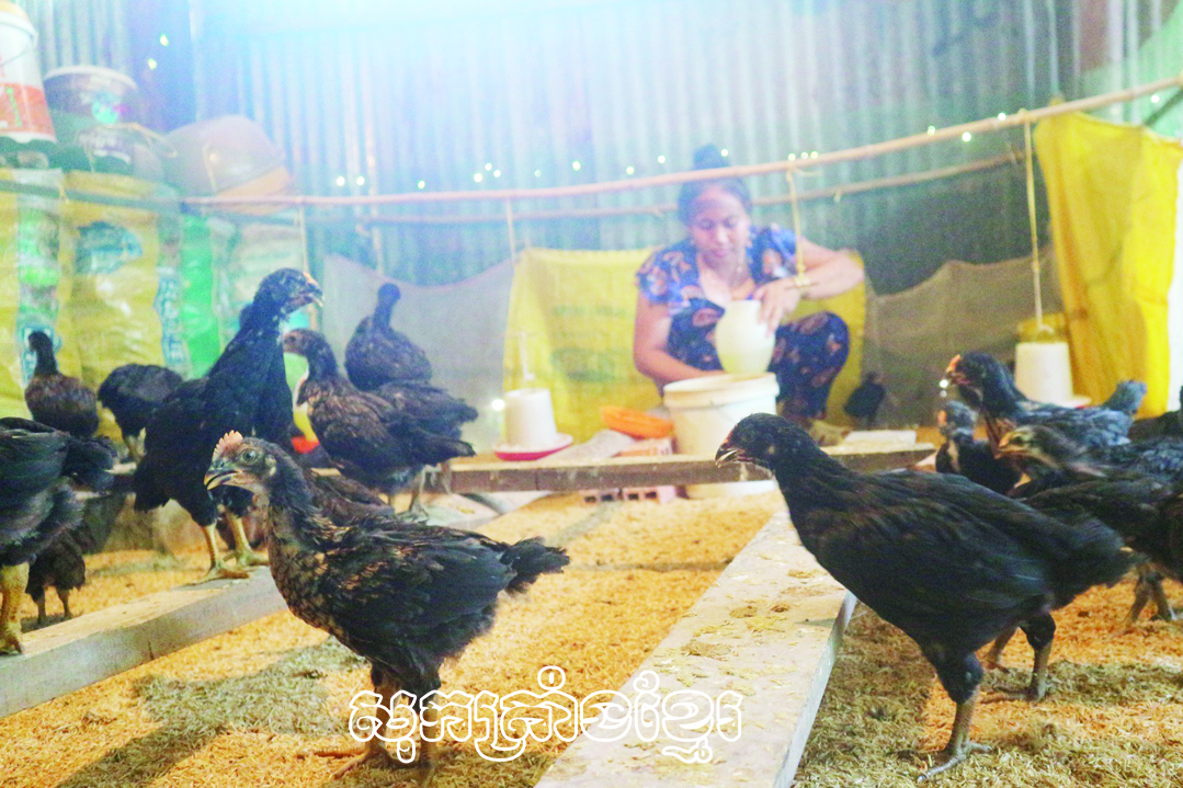 លើកកម្ពស់ប្រសិទ្ធភាពការងារបន្ថយក្រនៅតំបន់ជនជាតិភាគតិច