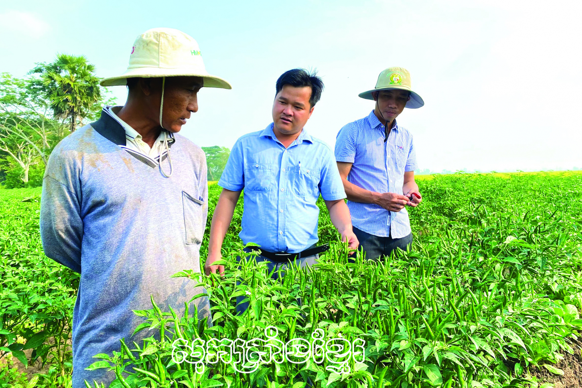 កសិករឡុងភូរួមកម្លាំងកសាងជនបទថ្មី