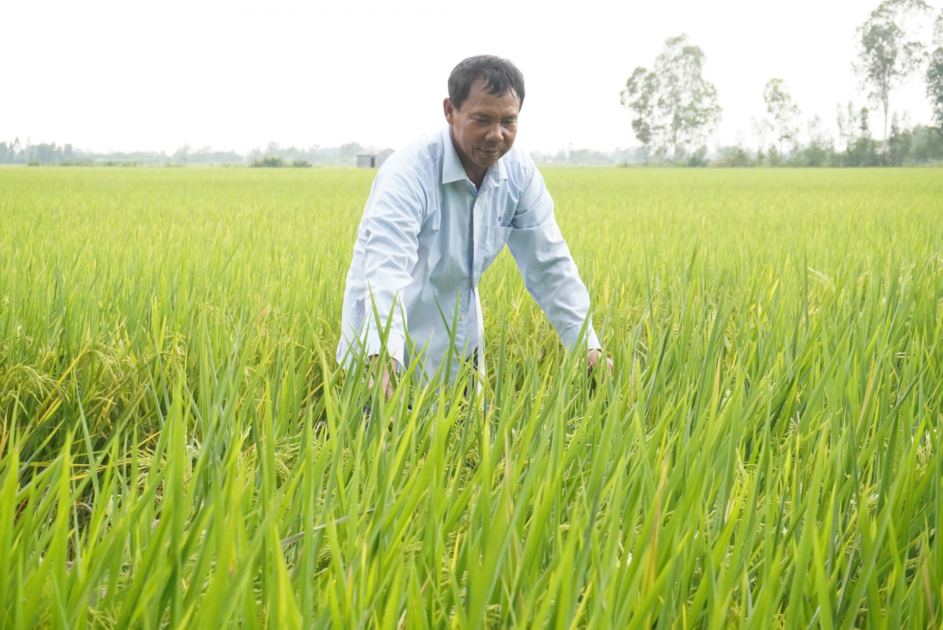 កសិករគំរូ ផលិត ធ្វើអាជីវកម្មពូកែ