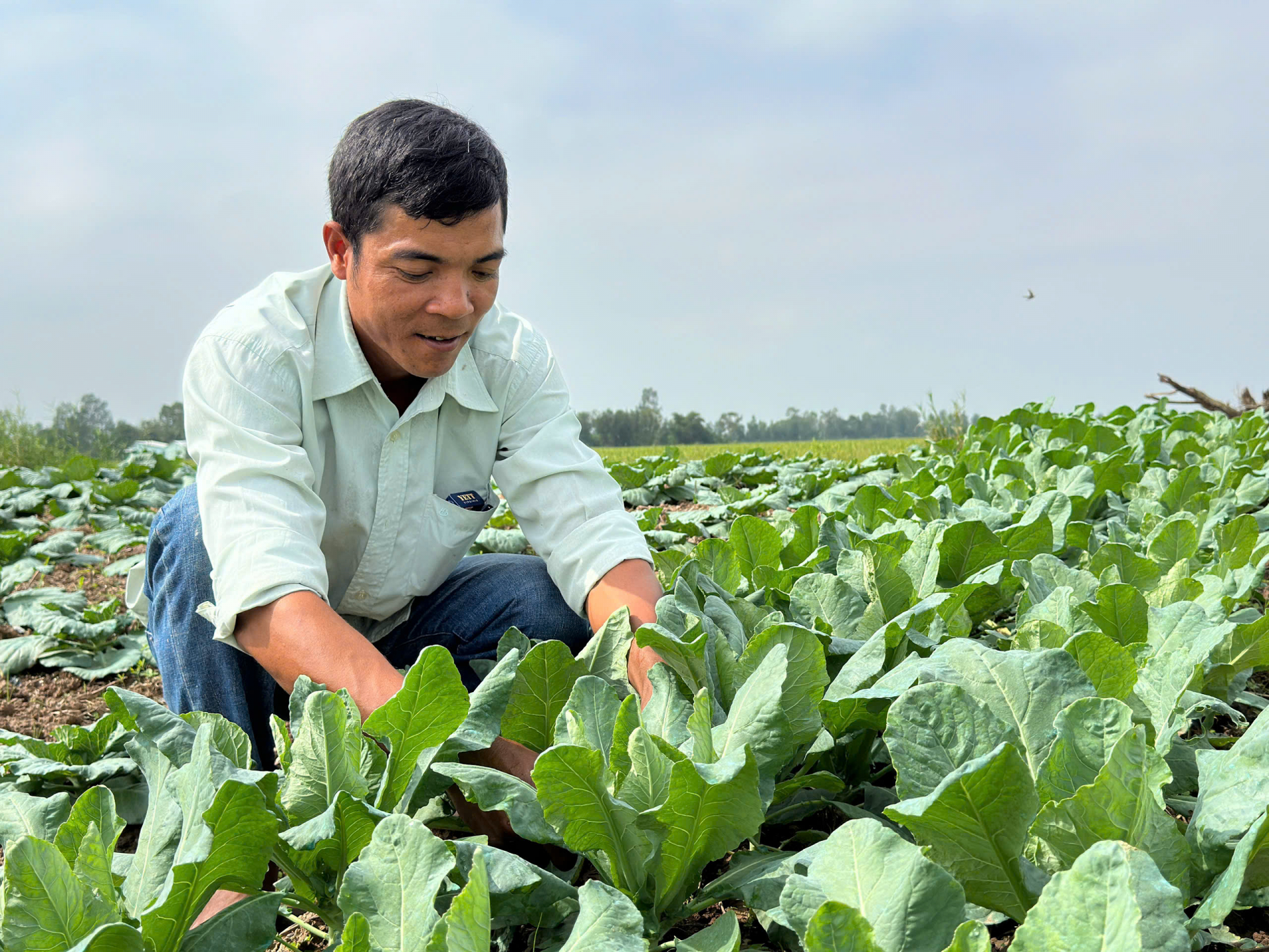 ប្តេជ្ញាចិត្តរបស់កសិករខ្មែរឈានឡើងចាកផុតក្រ