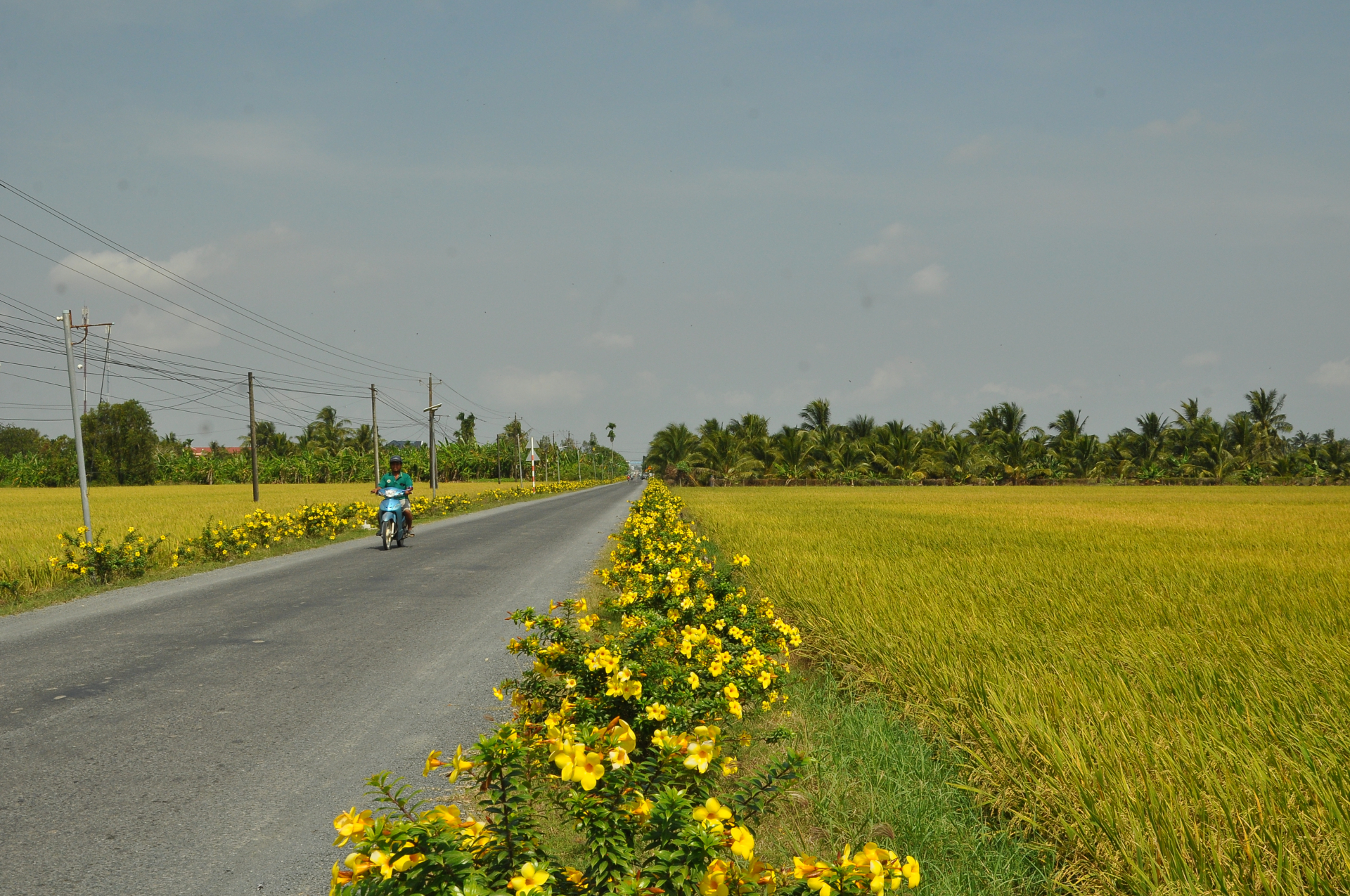 ភាពវិវឌ្ឍន៍ផ្លាស់ថ្មី នៅតំបន់ជនរួមជាតិខ្មែរឡុងភូ