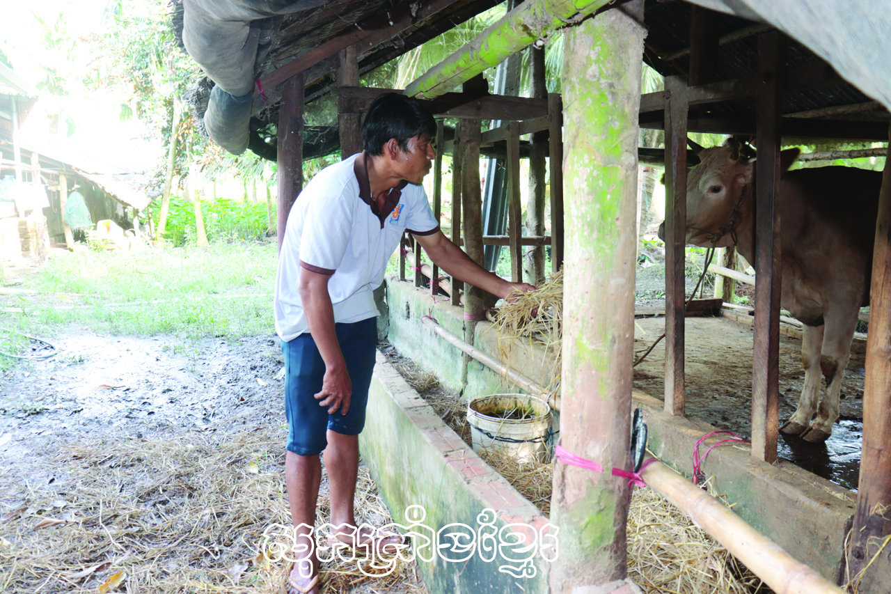 អតីតយុទ្ធជនខ្មែរធ្វើសេដ្ឋកិច្ចពូកែ