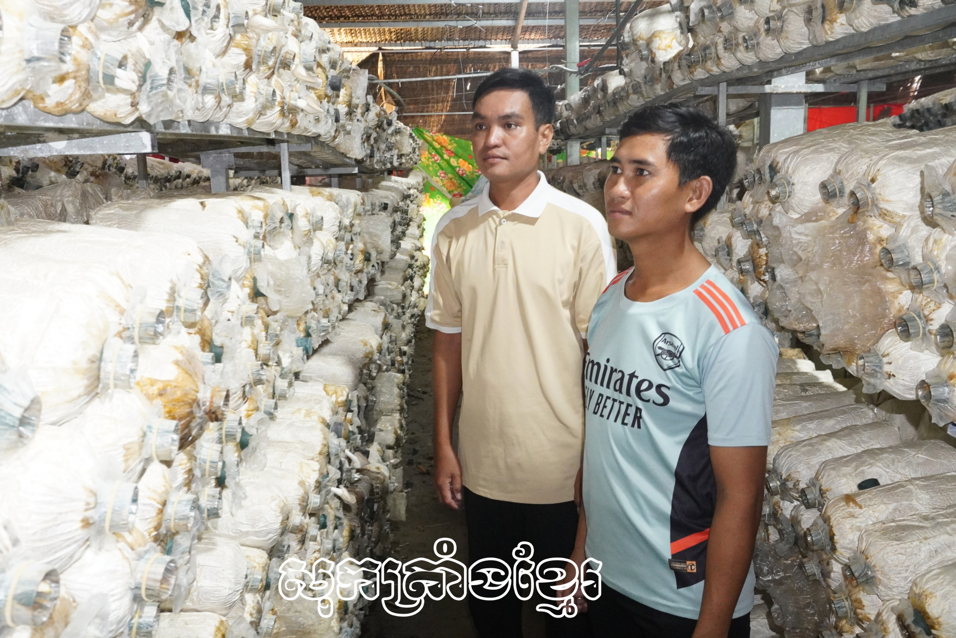 យុវជនផ្តើមអាជីពពីផ្សិតអំបោះ