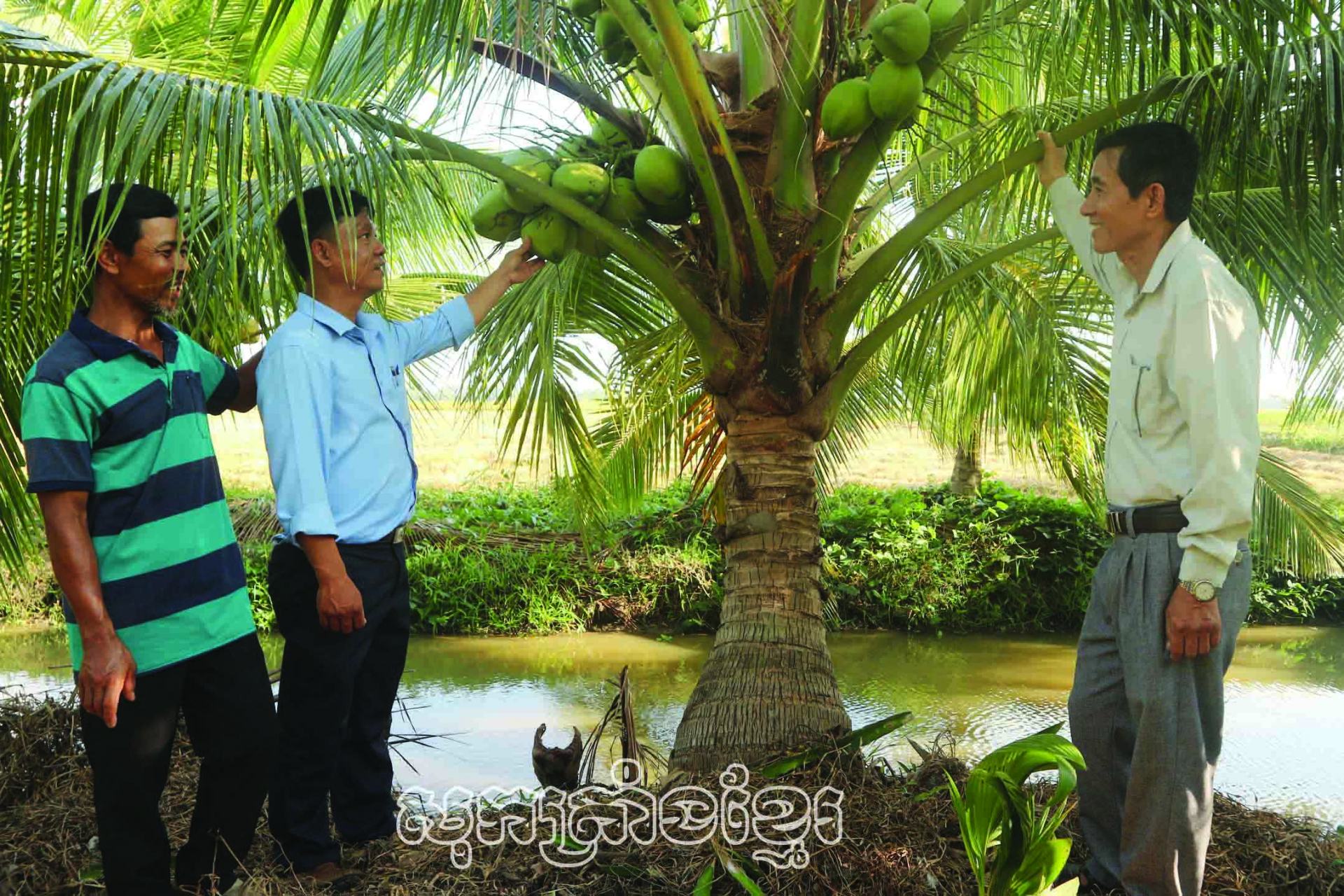 ឈានឡើងពីការអនុវត្តទម្រង់ចម្ការ-ស្រះ-ទ្រុង