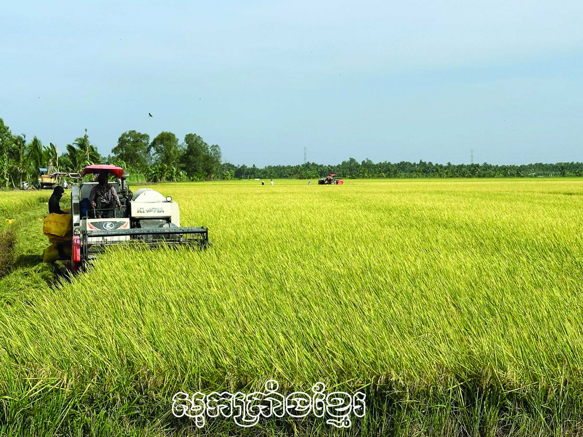 ប្រសិទ្ធភាពគម្រោងផ្លាស់ប្តូរកសិកម្មស្ថេរភាព