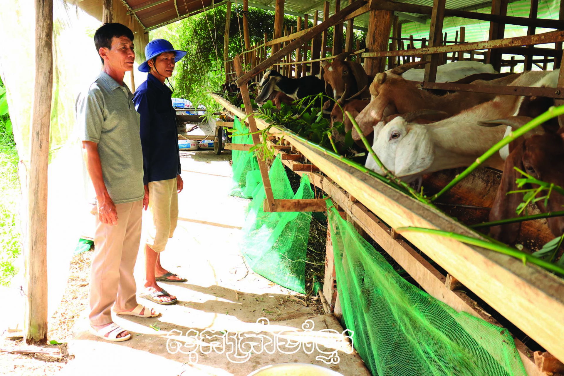 កម្មាភិបាលខ្មែរអស់ពីចិត្តនឹងការងារសមាគម