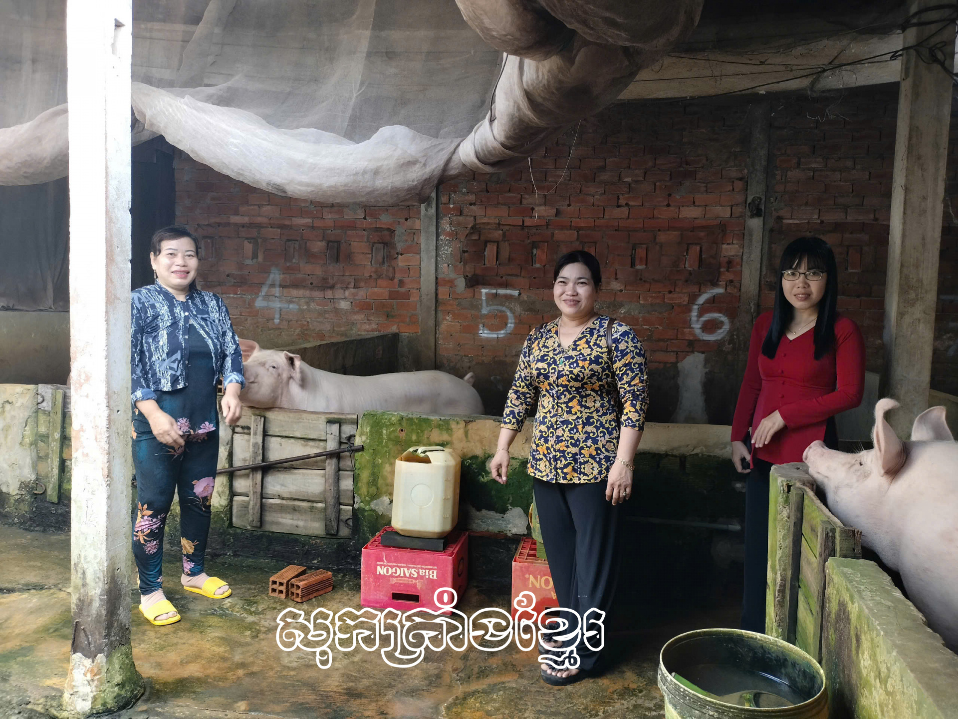 ទុនបង្កើតអាជិពជួយសមាជិកានារីមានឱកាសអភិវឧ្ឍ