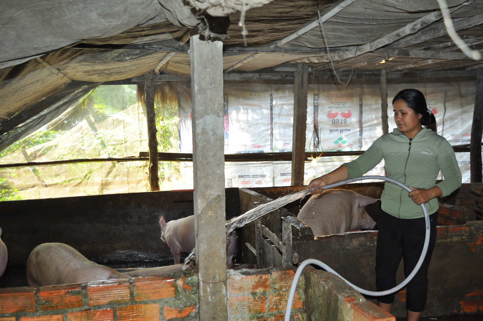 កសាងជនបទថ្មី-ជីវភាពប្រជាជនបានលើកកម្ពស់