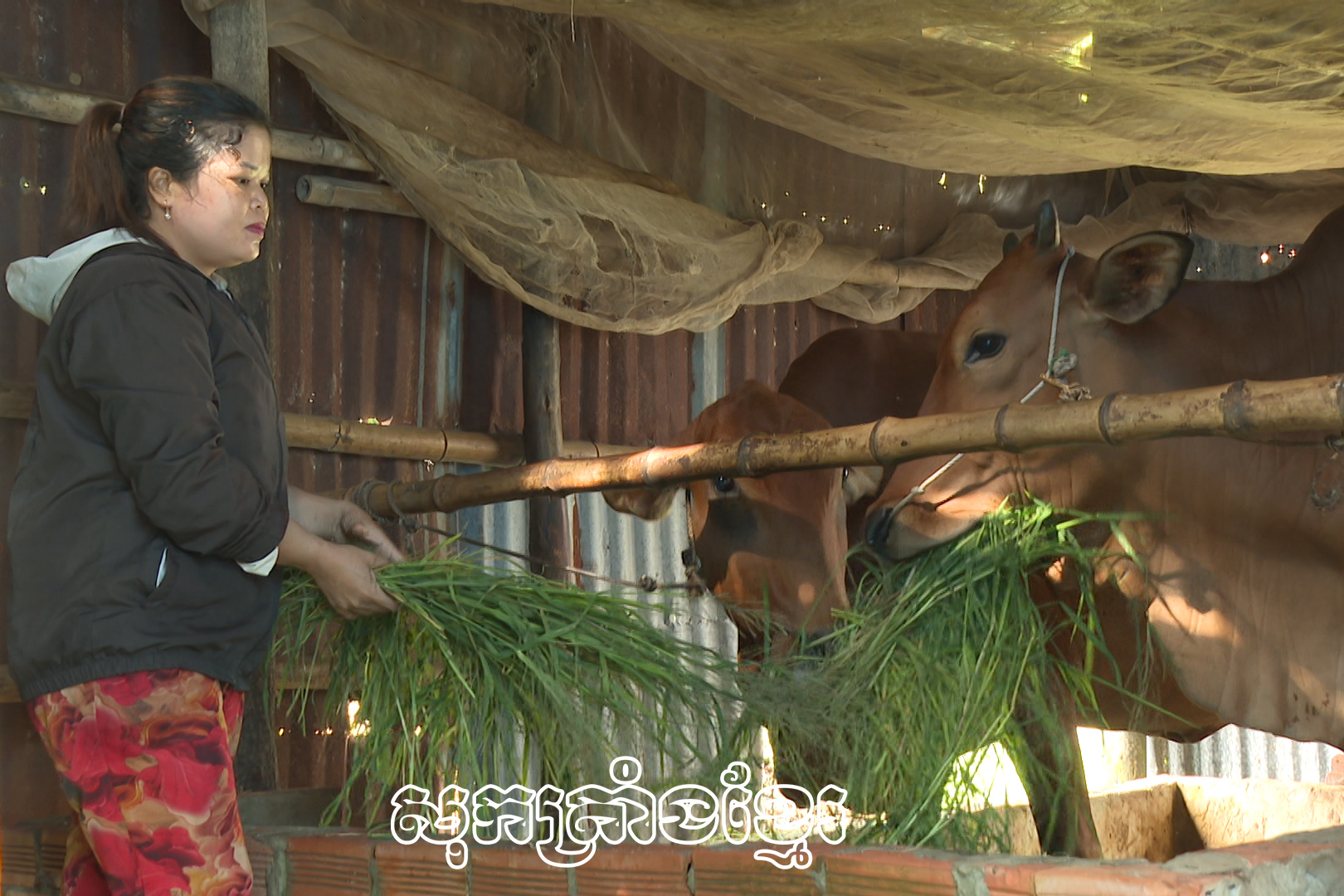 ឃុំភូមីផ្លាស់ថ្មីពីកម្មវិធីទិសដៅជាតិអភិវឌ្ឍសេដ្ឋកិច្ច-សង្គមនៅតំបន់ជនជាតិភាគតិច