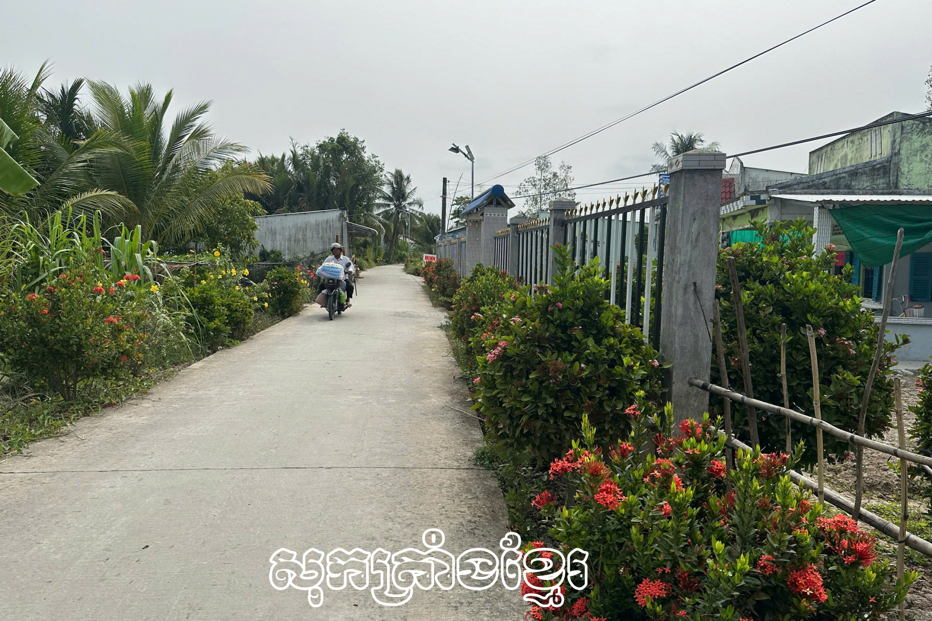 មីធ្វឹងផ្លាស់ថ្មី