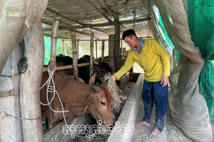 សកម្មឧបត្ថម្ភសមាជិកខ្មែរអភិវឌ្ឍសេដ្ឋកិច្ច