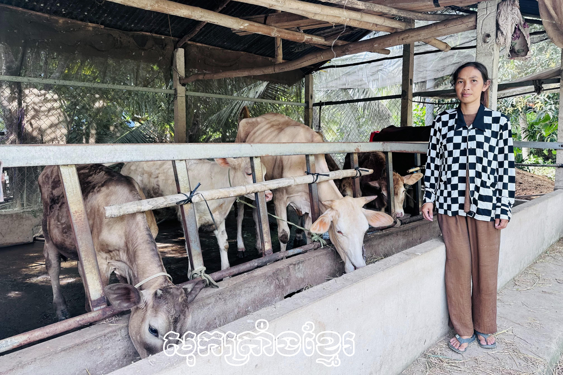 រួមដំណើរជាមួយនឹងកសិករដើម្បីអភិវឌ្ឍសេដ្ឋកិច្ច បង្កបង្កើនផល