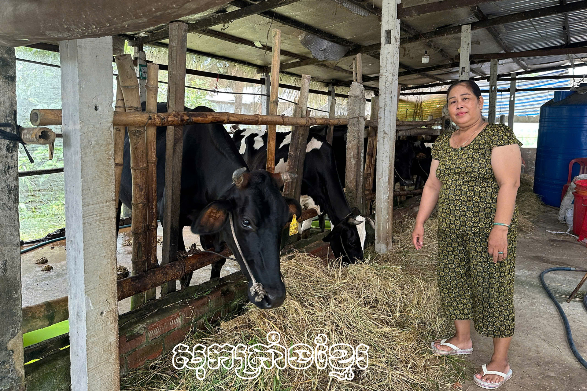 ទម្រង់ដើម្បីជួយសមាជិកាចាកផុតពីភាពក្រីក្រ