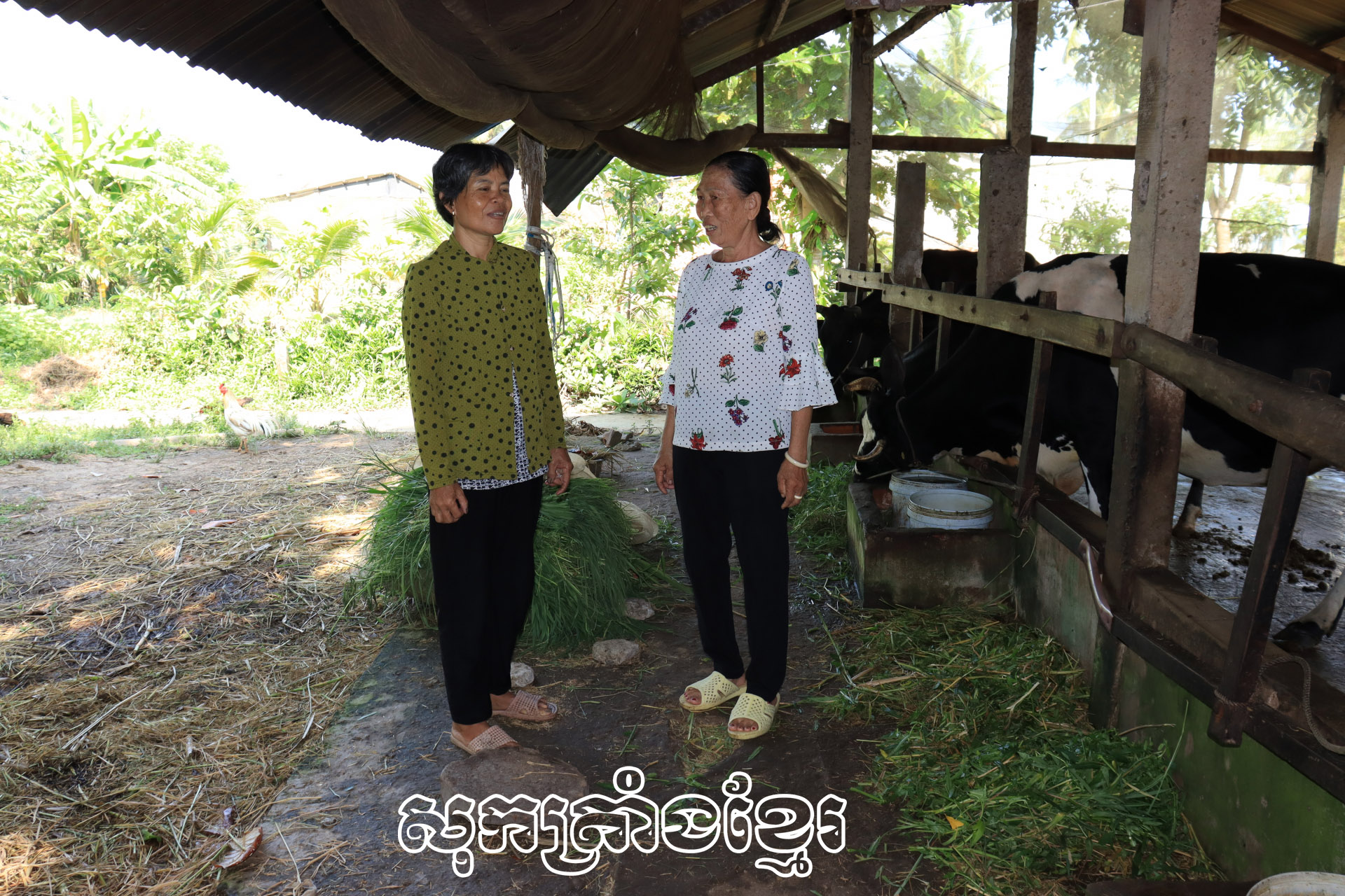 ពង្រីកតួនាទីបក្ខជនតំបន់ជនជាតិភាគតិច