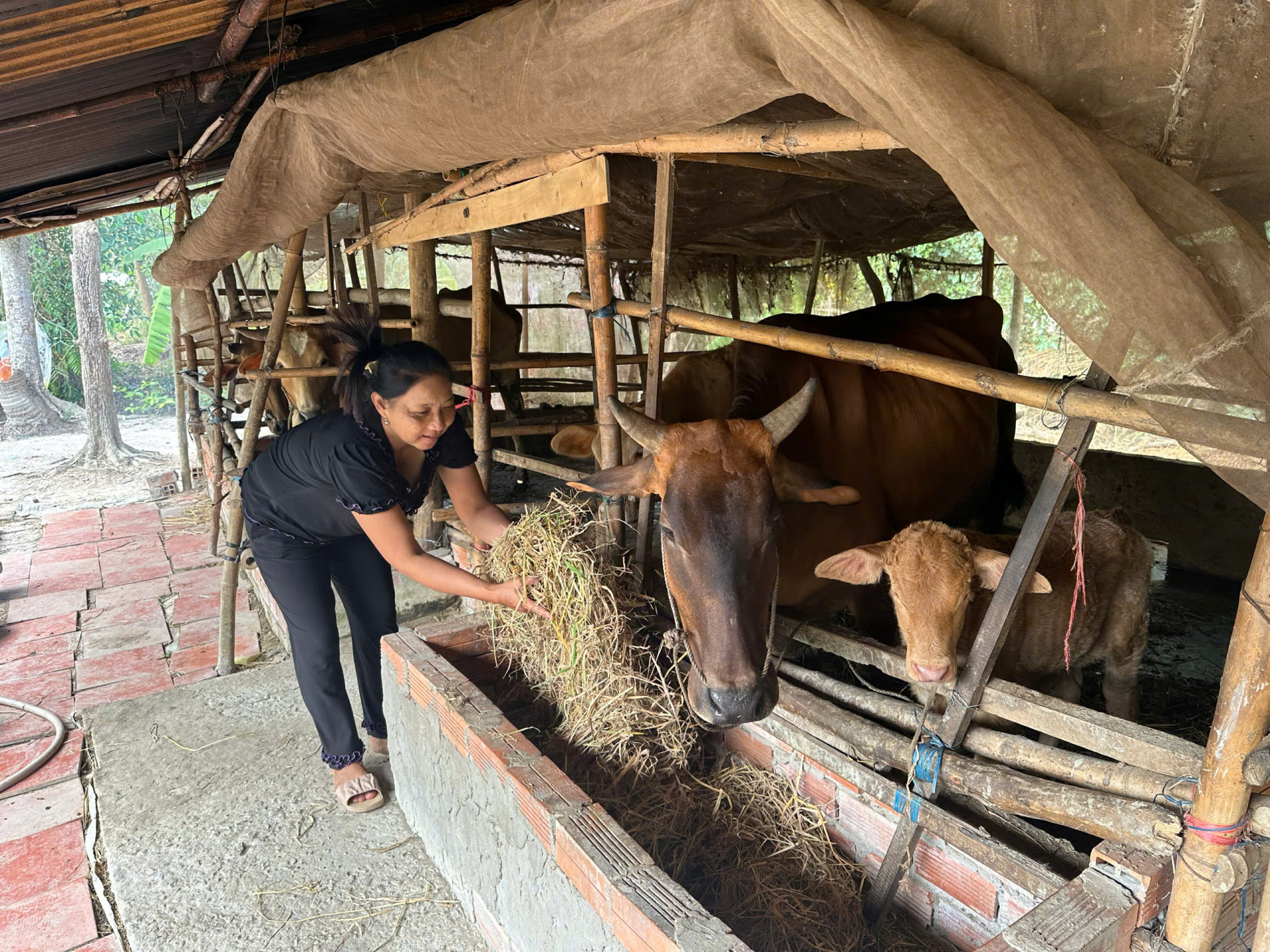 ភាពវិវឌ្ឍន៍នៃតំបន់ជនរួមជាតិខ្មែរនៅឃុំទ្វឹងទឹក