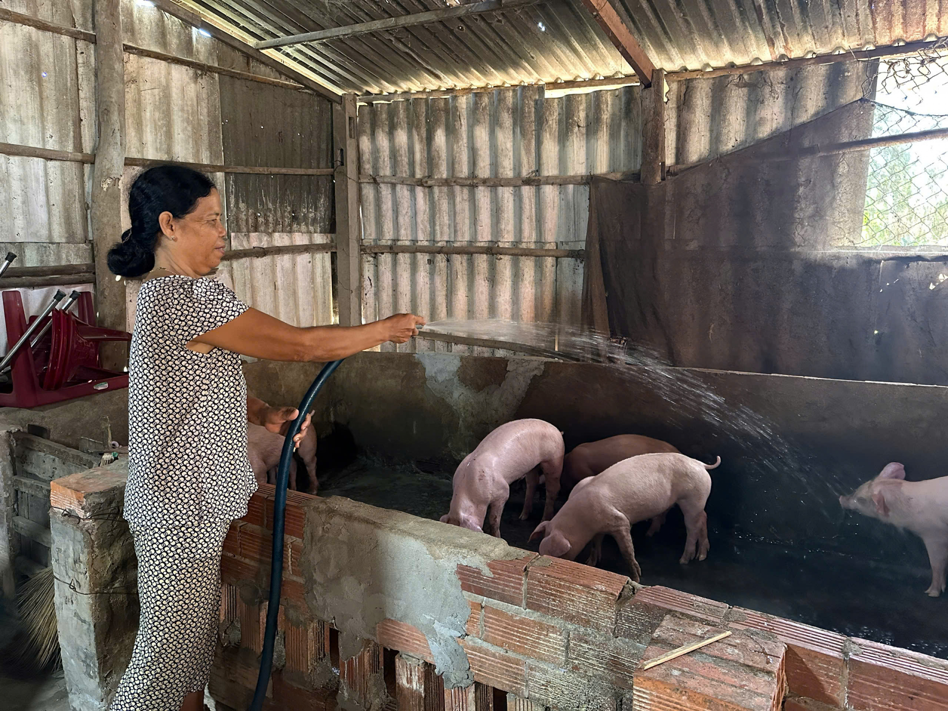 ជំនួយទុនដើម្បីសមាជិកាអភិវឌ្ឍសេដ្ឋកិច្ច