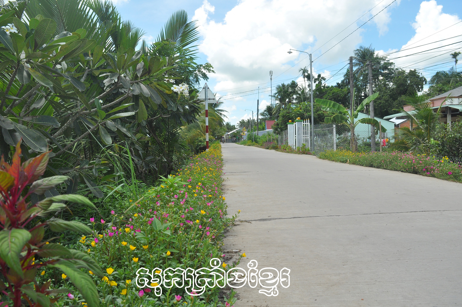 ដងផ្លូវផ្កាគំរូរួមចំណែកធ្វើឱ្យទិដ្ឋភាពភូមិស្រុកកាន់តែស្រស់ស្អាត