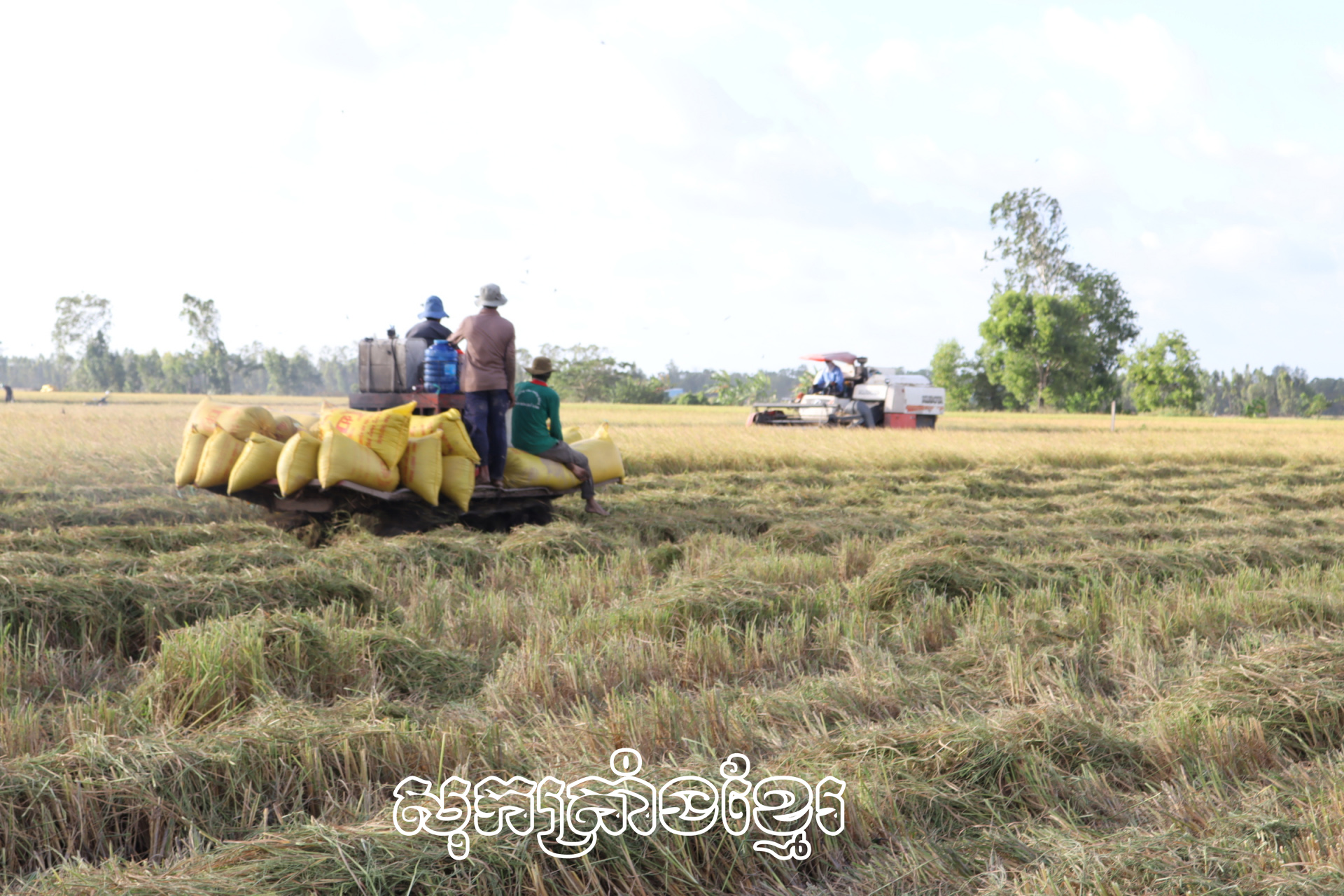 ឃុំឡឹមគៀកថ្ងៃនេះ