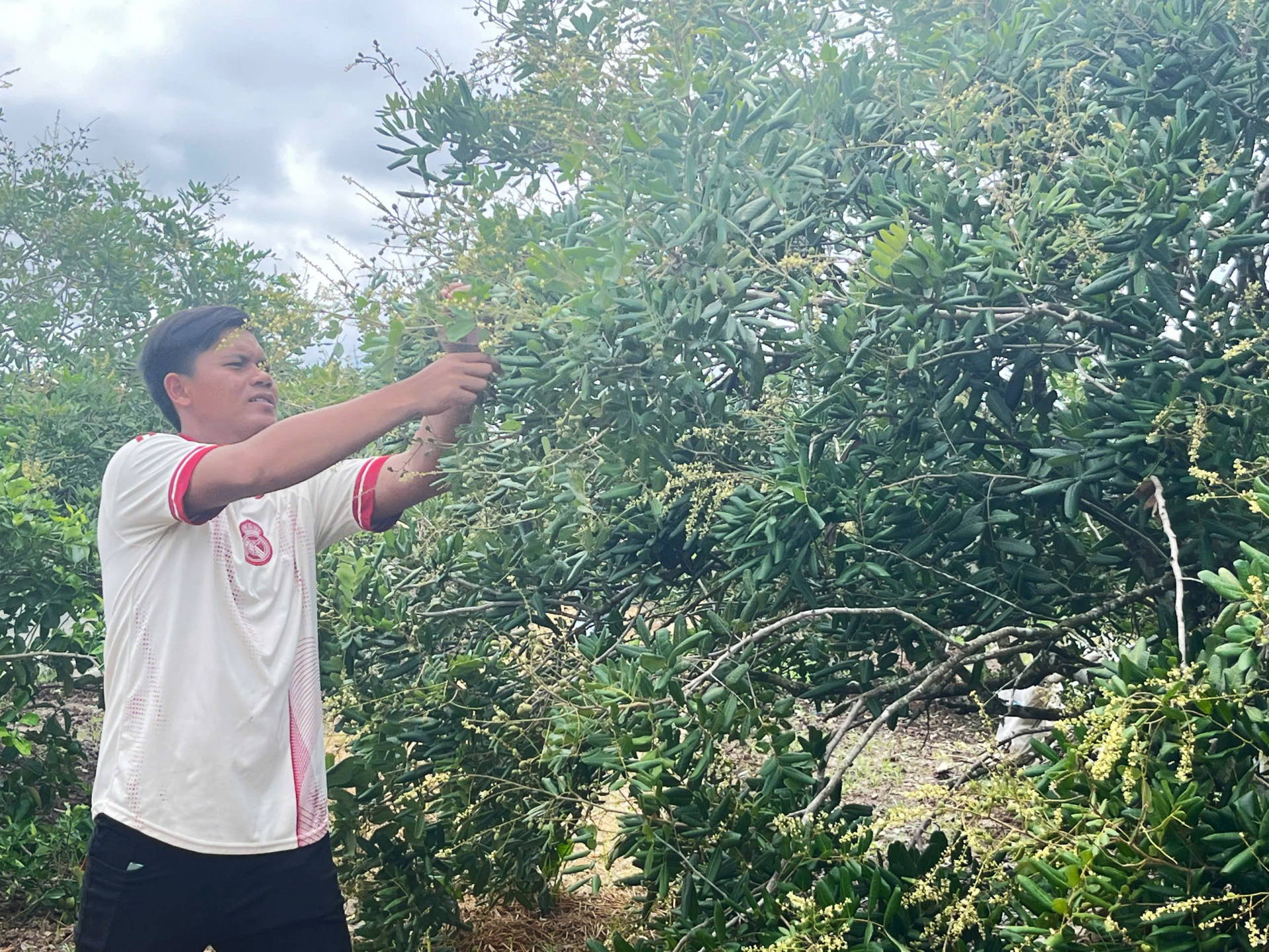 ផ្តើមអាជីព​ជោគជ័យពីដើមមៀន