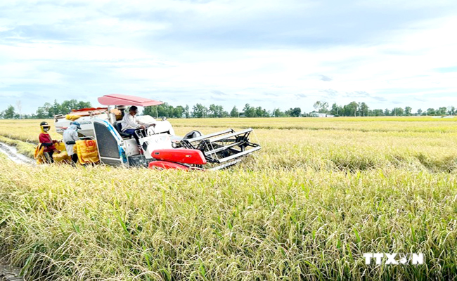 រដ្ឋាភិបាលចេញគោលនយោបាយឧបត្ថម្ភការពារដីផលិតស្រូវ