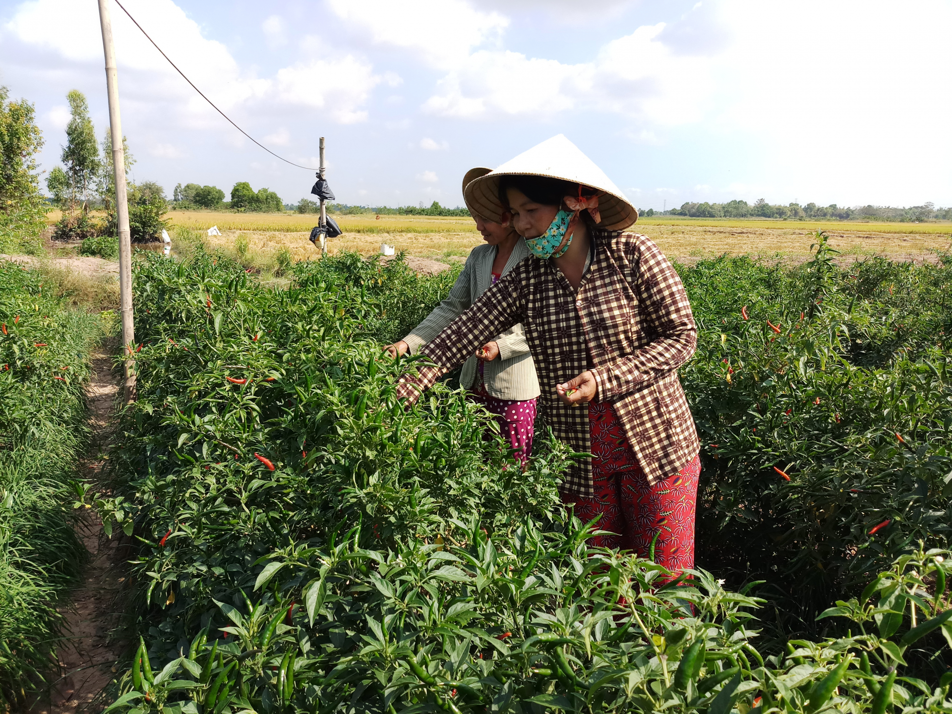 ជួយជនរួមជាតិខ្មែរឈានឡើងអភិវឌ្ឍដោយចីរភាព