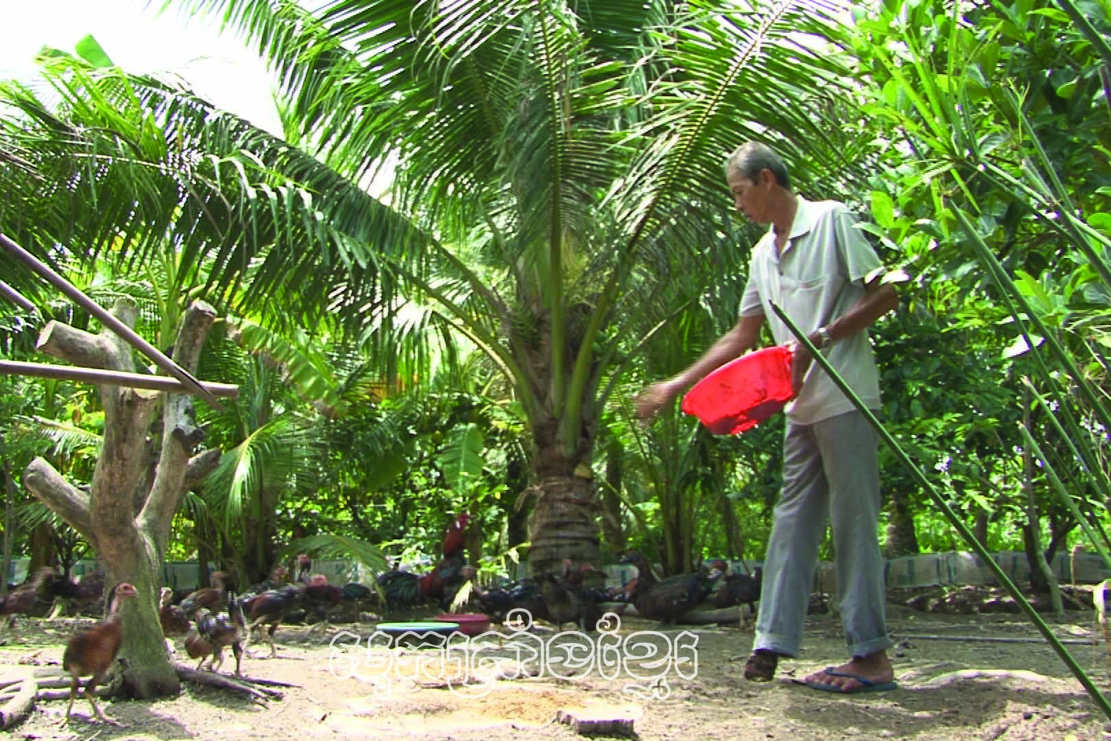 សមាគមអតីតយុទ្ធជនស្រុកឡុងភូជាមួយរបៀបធ្វើល្អៗទម្រង់មានប្រសិទ្ធភាព