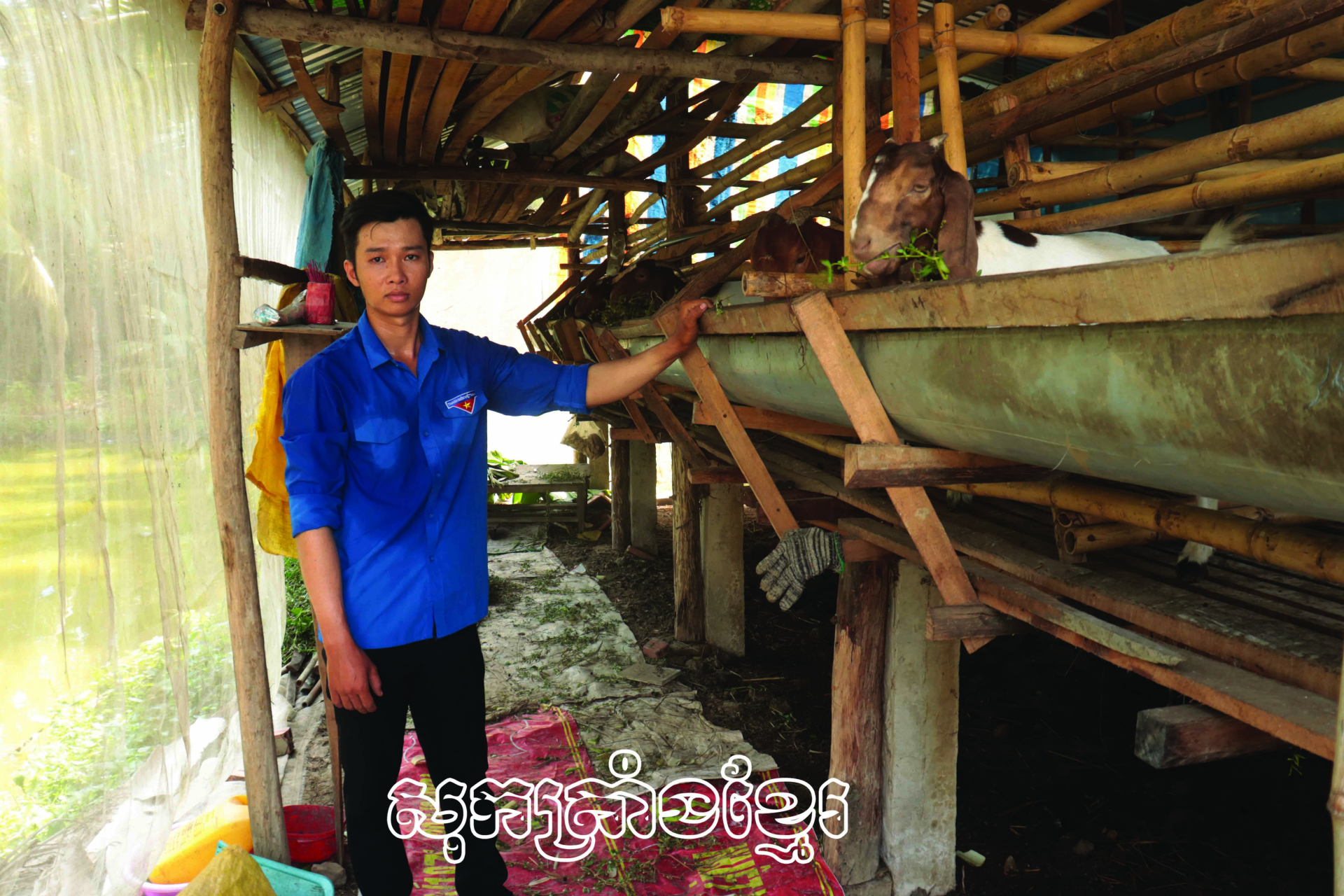 ជំរុញស្មារតីបង្កើតអាជីពរបស់យុវជនអាងនិញ