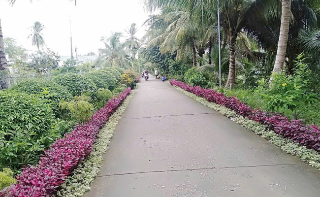 ចូវថាញ់ ឆ្ពោះទៅកាន់ស្រុកជនបទថ្មី