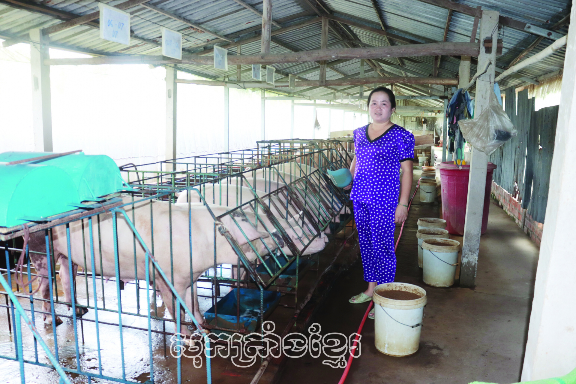 រួមដំណើរជាមួយសមាជិកាពង្រីកសេដ្ឋកិច្ច