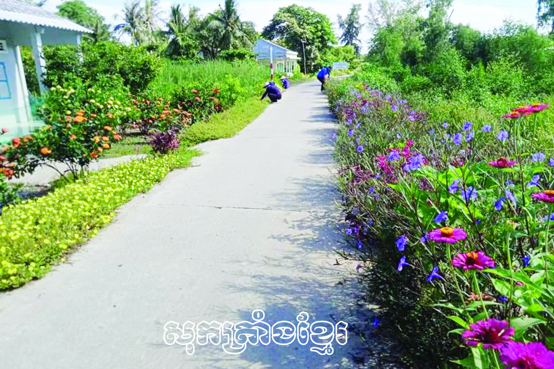 នារីថាមដូងព្រួតដៃកសាងឃុំជនបទថ្មីគំរូ