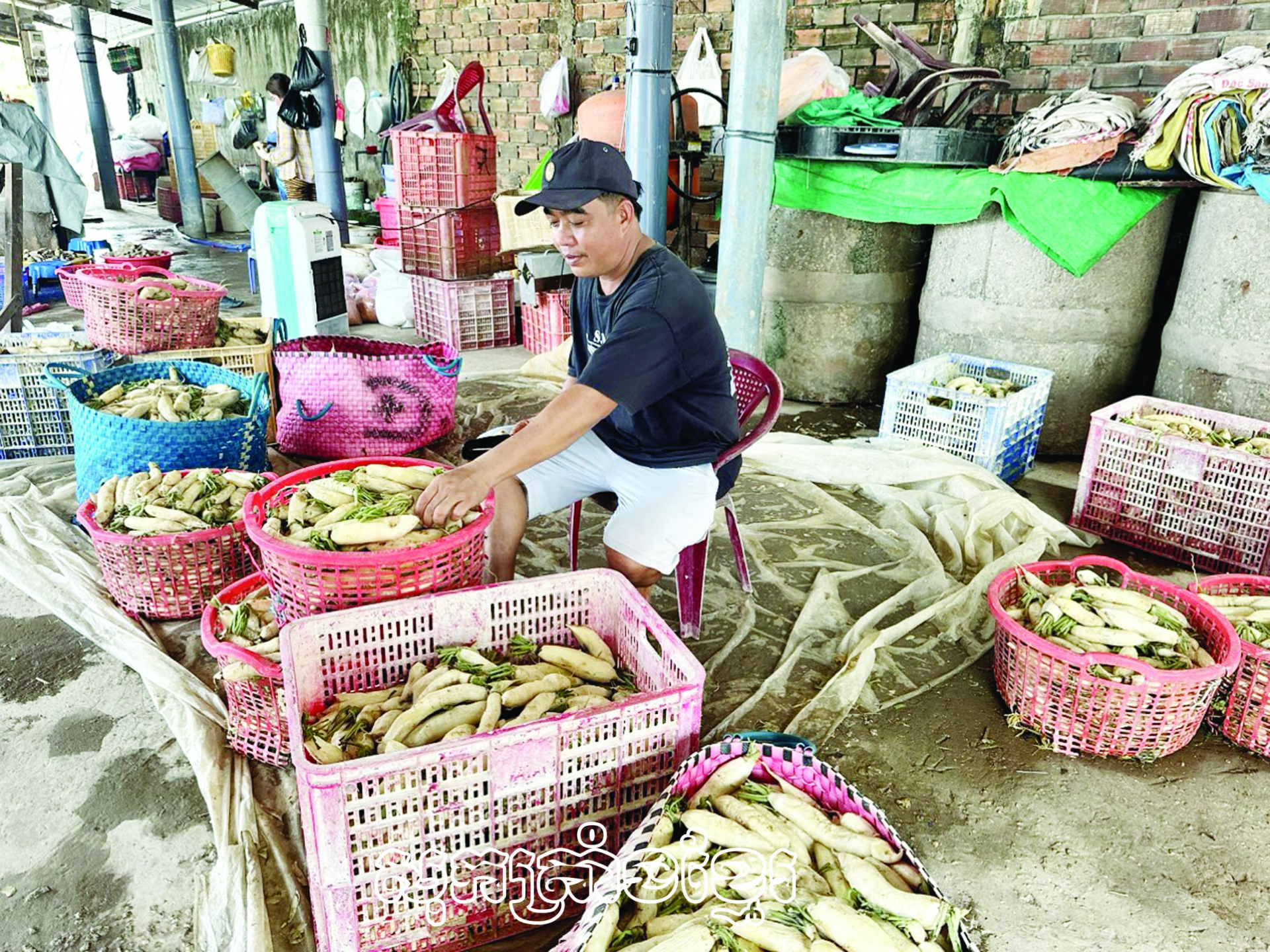 ពង្រីកមានប្រសិទ្ធភាពចលនាកសិករប្រឡងប្រណាំងផលិត ធ្វើអាជីវកម្មពូកែ
