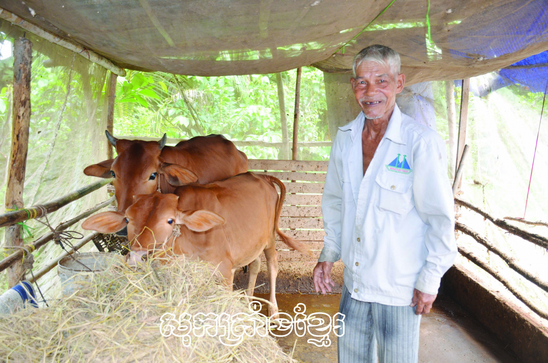 មាមីងខែ្មរចាកផុតក្រពីការជំនួយរបស់បក្ស រដ្ឋ