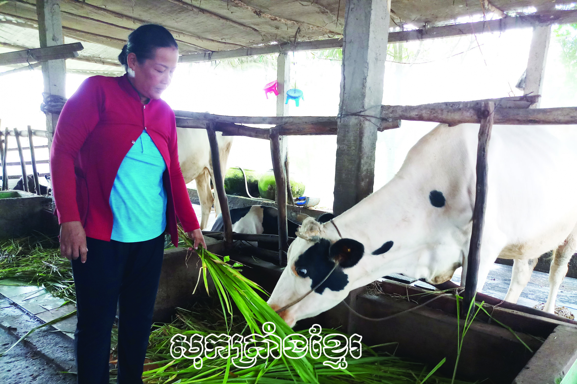 មីទូគិតអានជីវភាពជូនជនរួមជាតិខ្មែរ