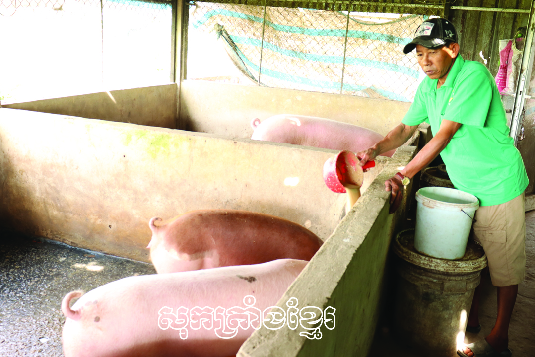 សម្រេចជោគជ័យពីទម្រង់ធ្វើស្រែនិងចិញ្ចឹមសត្វ