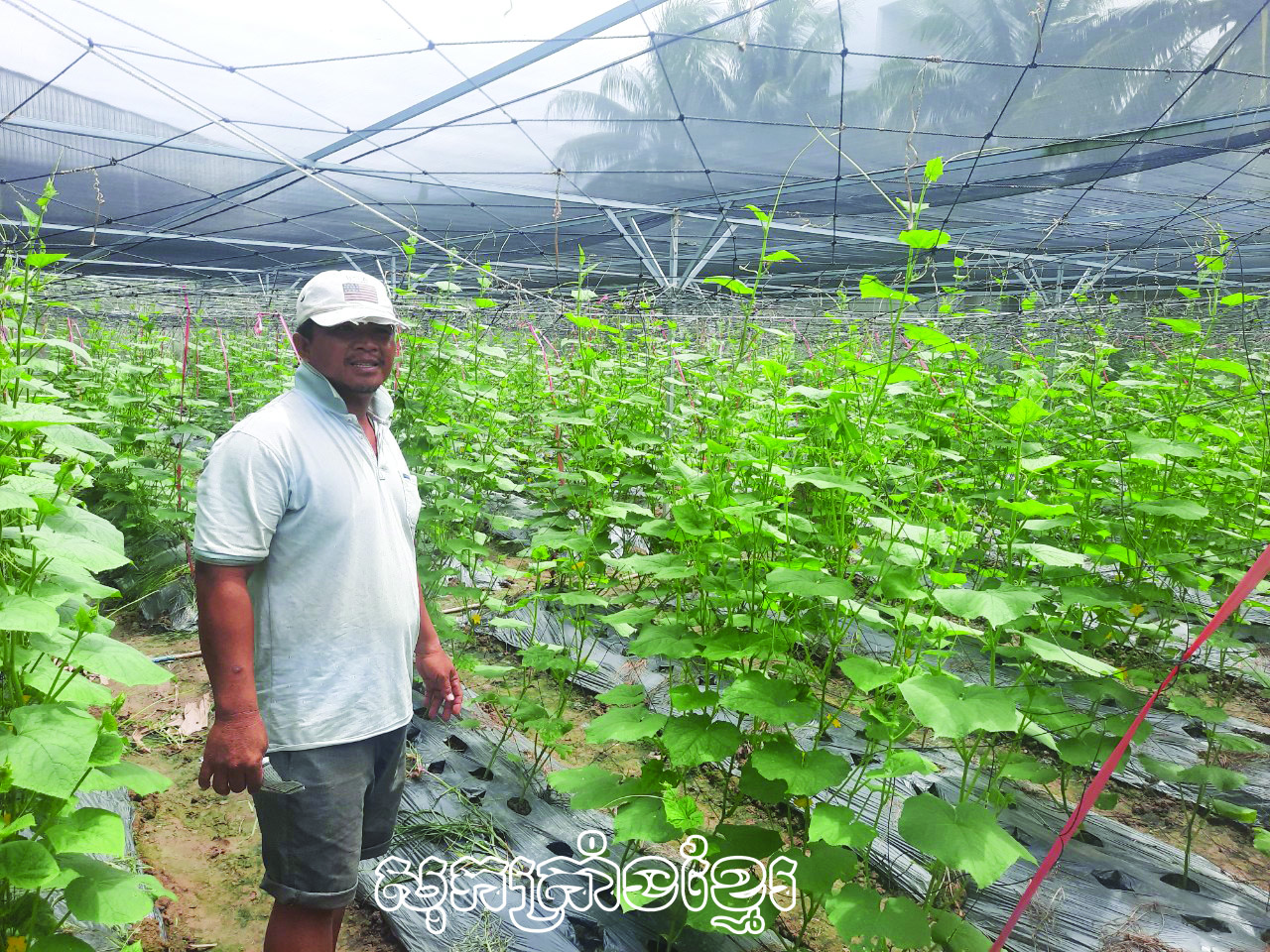 ជួយសមាជិកអភិវឌ្ឍសេដ្ឋកិច្ច-បំបាត់អត់បន្ថយក្រ