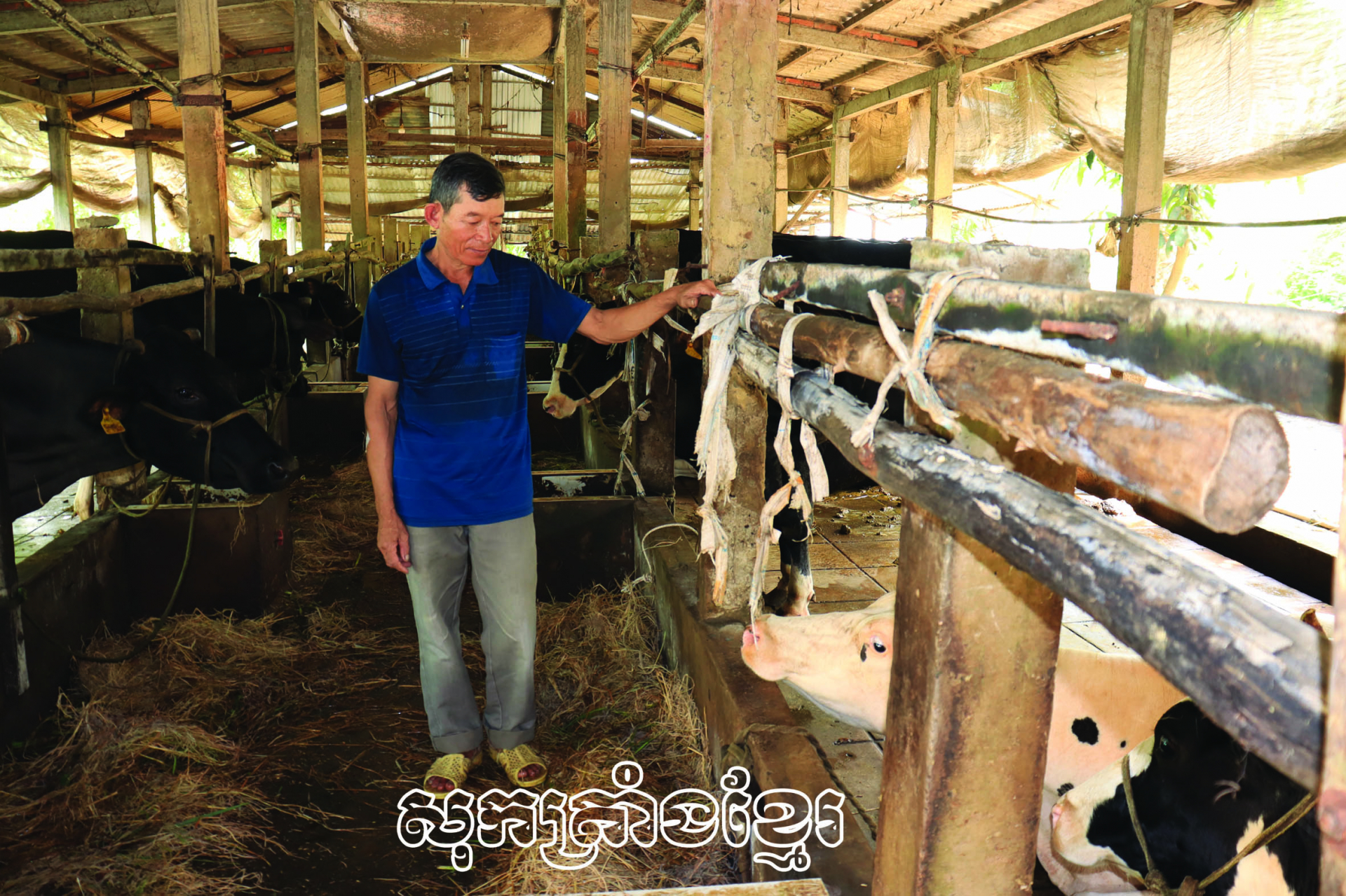 អ្នកវ័យចាស់ធ្វើសេដ្ឋកិច្ចពូកែ