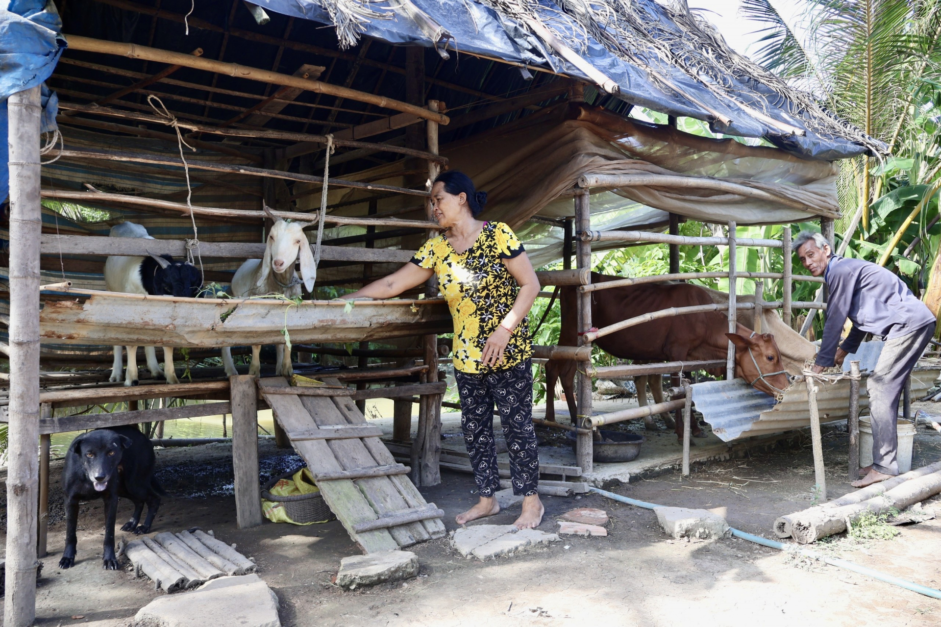 លើកកម្ពស់ជីវភាពជនជាតិភាគតិច