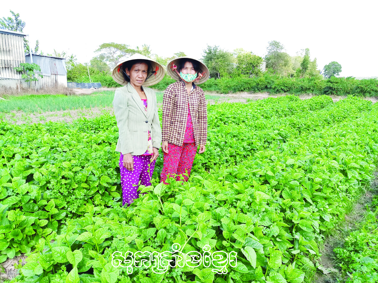 ខិតខំកសាងជនបទថ្មីគំរូ