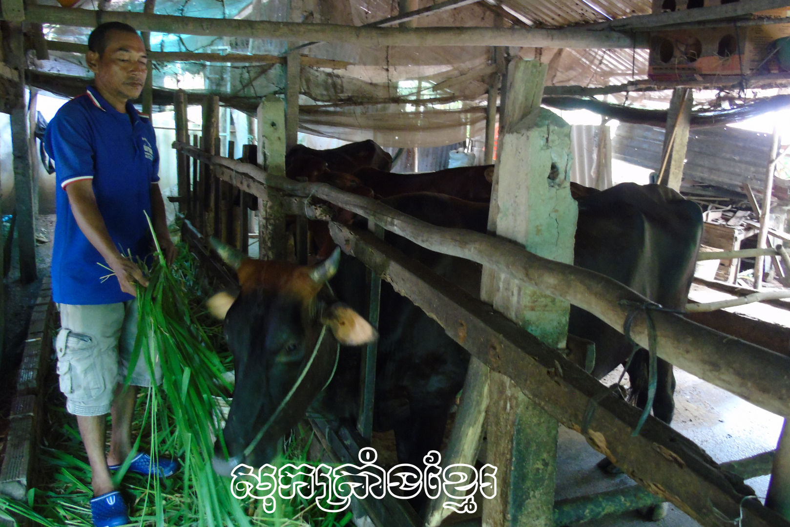 ប្រភពទុនគោលនយោបាយគឺជាចំណុចភ្លឺក្នុងការបំបាត់ភាពក្រីក្រ