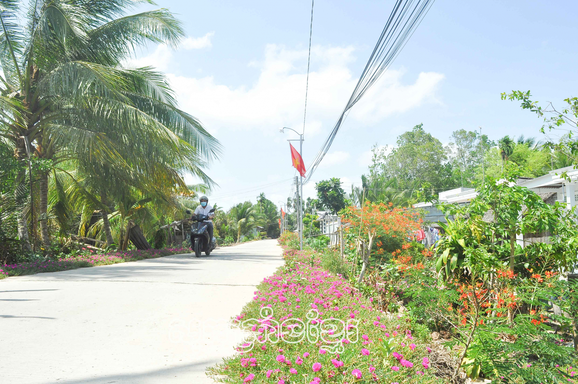 ប្រសិទ្ធភាពពីទម្រង់ “បំភ្លឺផ្លូវជនបទ”