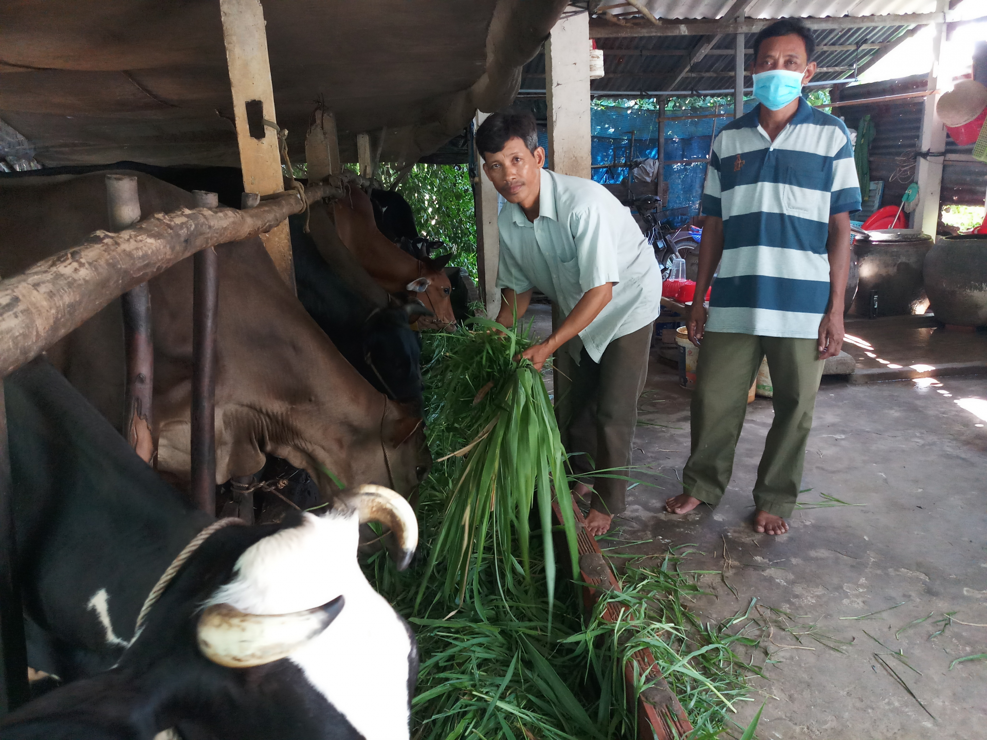 ភាពវិវឌ្ឍន៍នៅតំបន់ជនបទចូវថាញ់