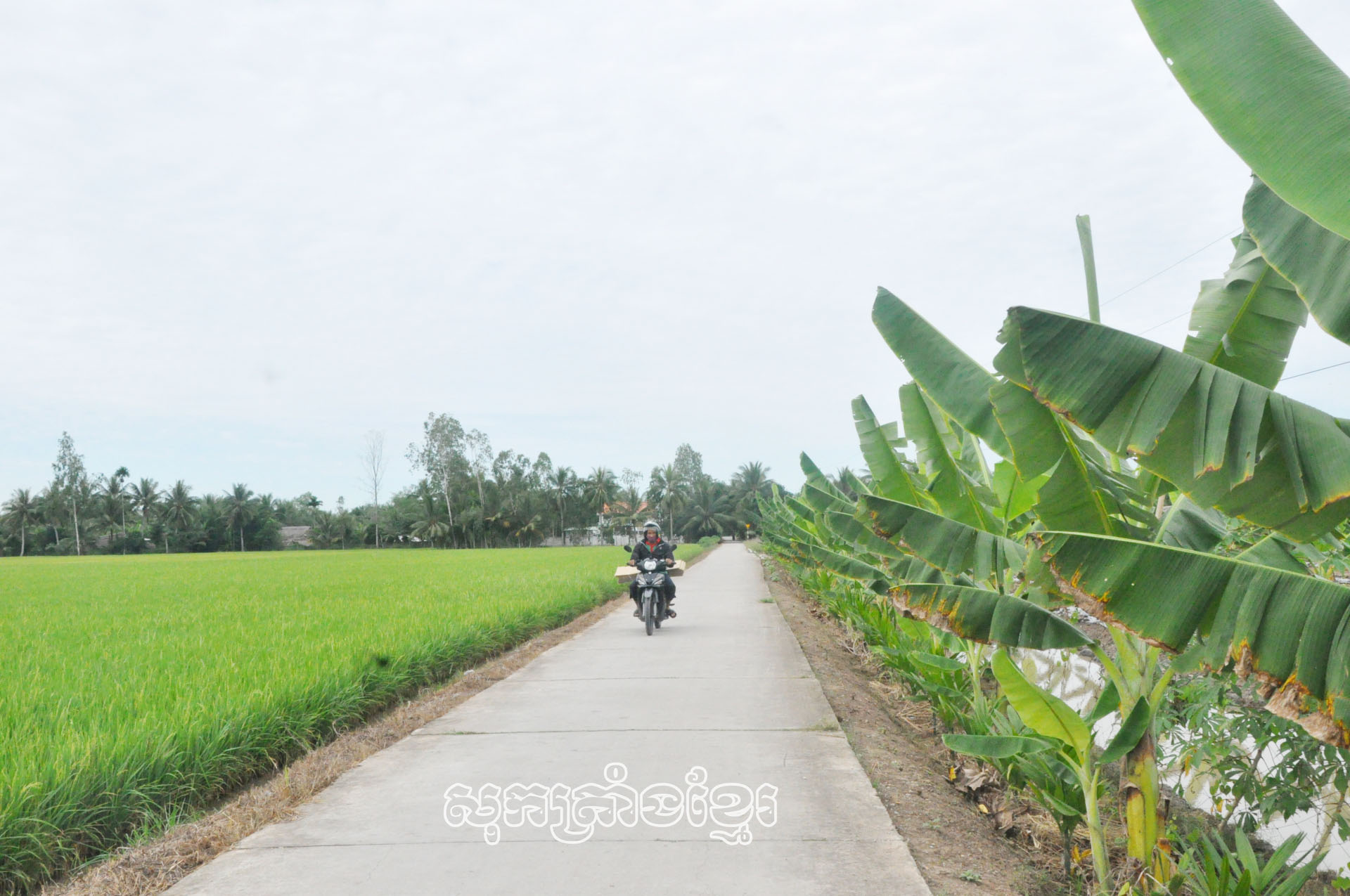 ស្រុកឡុងភូថែទាំគិតអានមាមីងជនជាតិភាគតិច